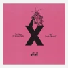 Public Possession Music^10 Years Of Loving Notes Vinyl