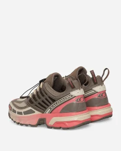 Salomon Sneakers·Low|Sneakers^ACS Pro Sneakers Falcon / Sugar Coral