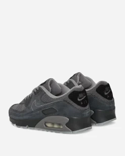 Nike Sneakers·Low|Sneakers^Air Max 90 Sneakers Anthracite / Light Smoke Grey