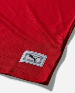 Puma T-Shirts^Aries Mesh Longsleeve T-Shirt For All Time Red