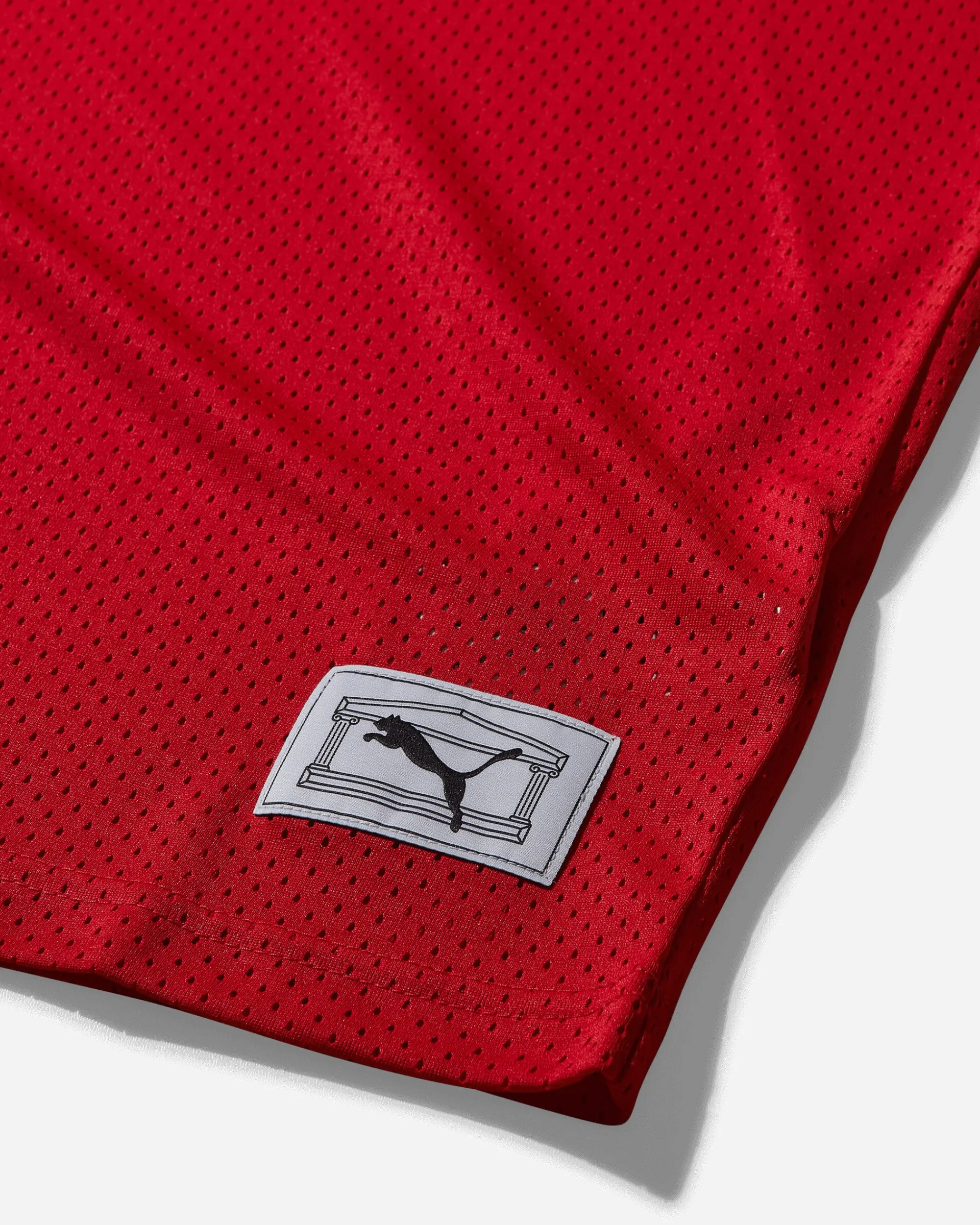 Puma T-Shirts^Aries Mesh Longsleeve T-Shirt For All Time Red