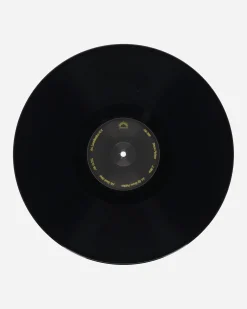 Public Possession Music^Bruce Flakian LP Vinyl