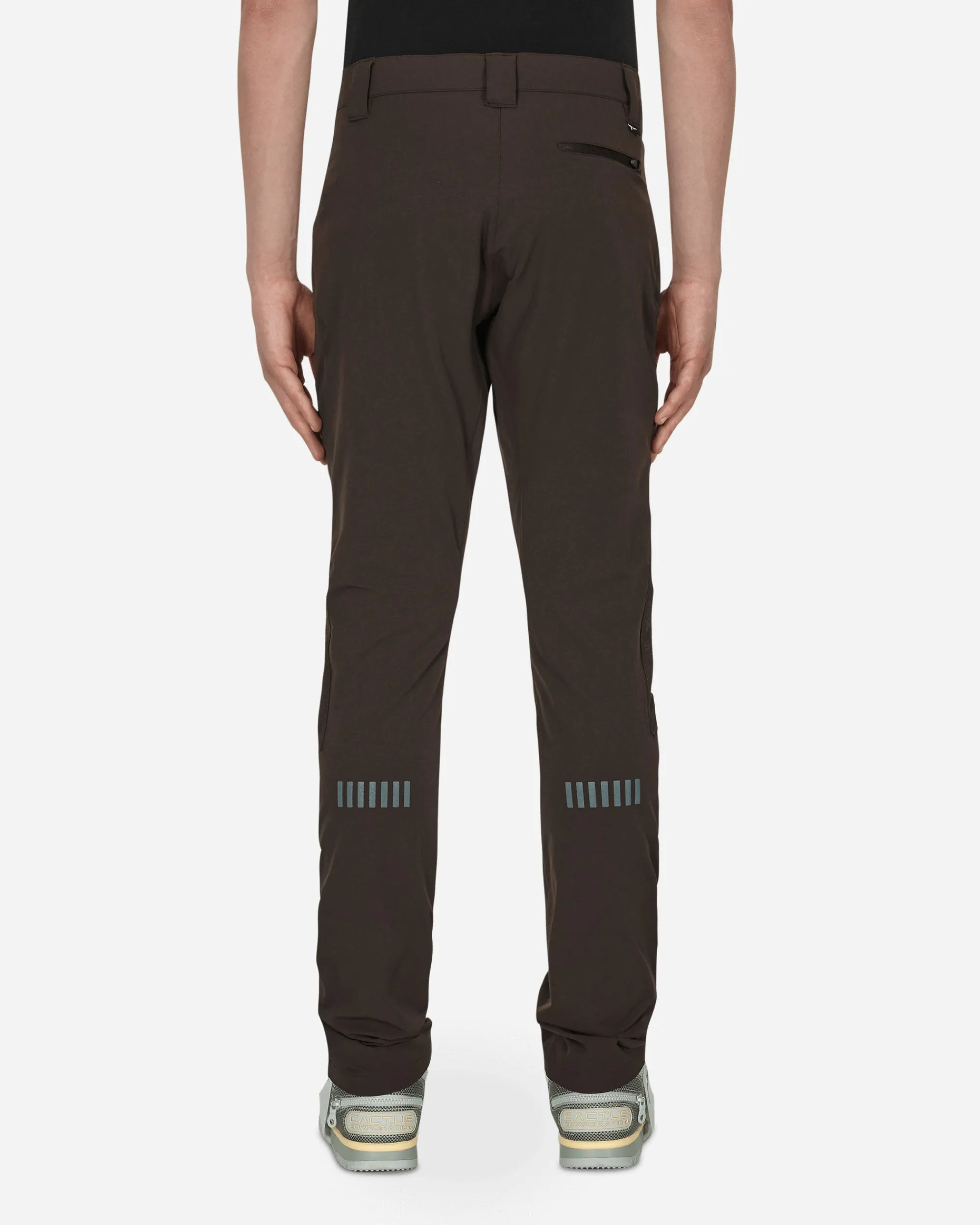 Nike Pants^CACT.US CORP Pants Brown