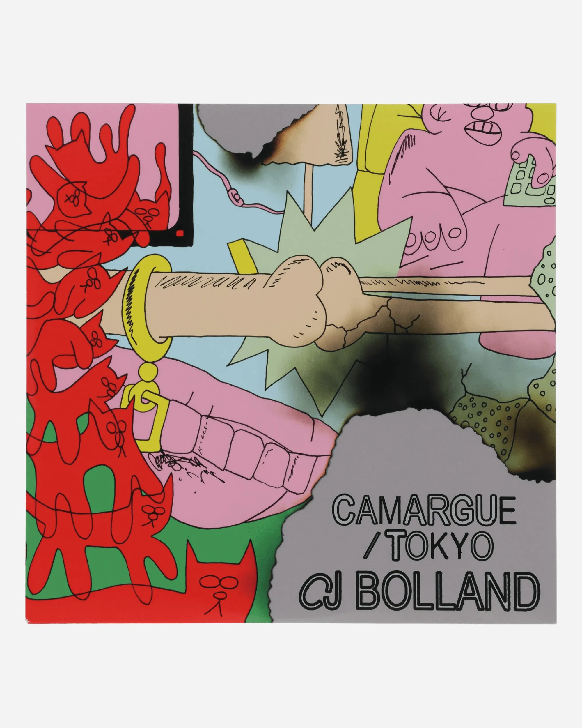 Public Possession Music^Camargue / Tokyo Vinyl