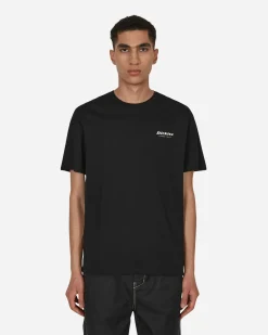 Dickies T-Shirts^Camden Box T-Shirt Black