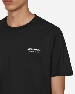 Dickies T-Shirts^Camden Box T-Shirt Black