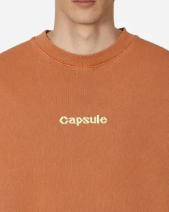 Capsule Sweatshirts^Classic Logo Crewneck Sweatshirt Rust