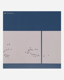 Public Possession Music^Cycli Infini Vinyl