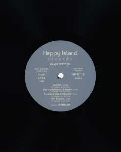 Public Possession Music^Danse Cette Zik Multicolor Vinyl