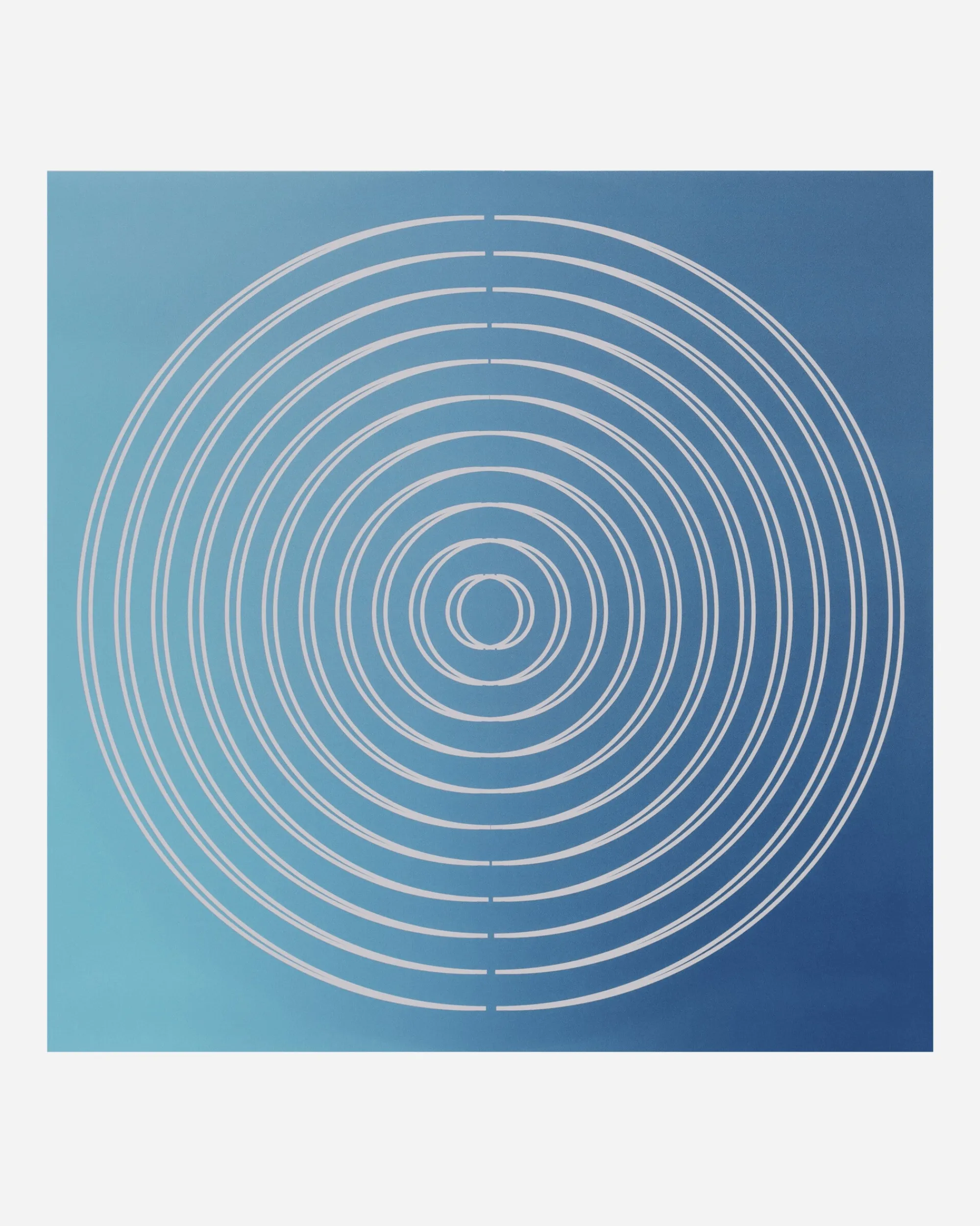 Houseplant Music^Double LP Party Vinyl