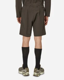 AFFXWRKS Shorts^Flex Shorts Shale Brown