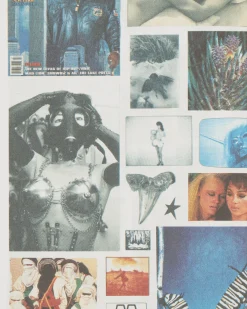 Innen Publishing Magazines^Fuck This Life: Dreamgirls Zine