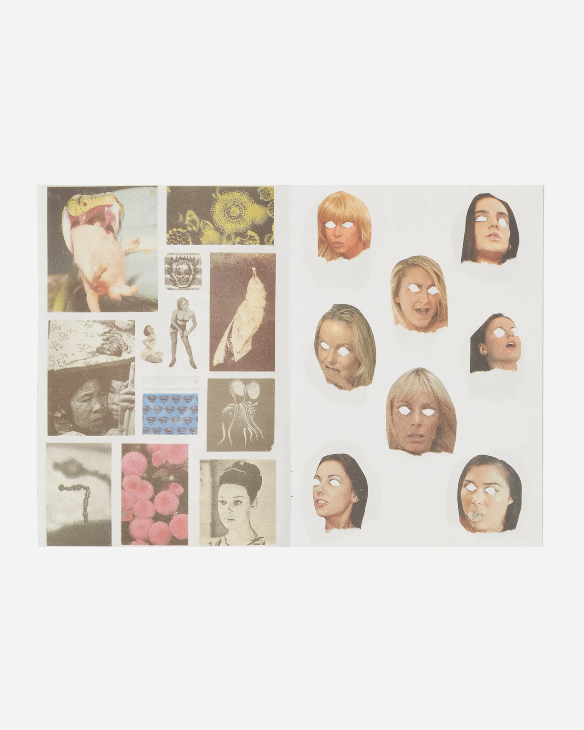 Innen Publishing Magazines^Fuck This Life Zine