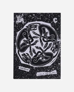 Public Possession Music^Hiding From The Landlord Vinyl