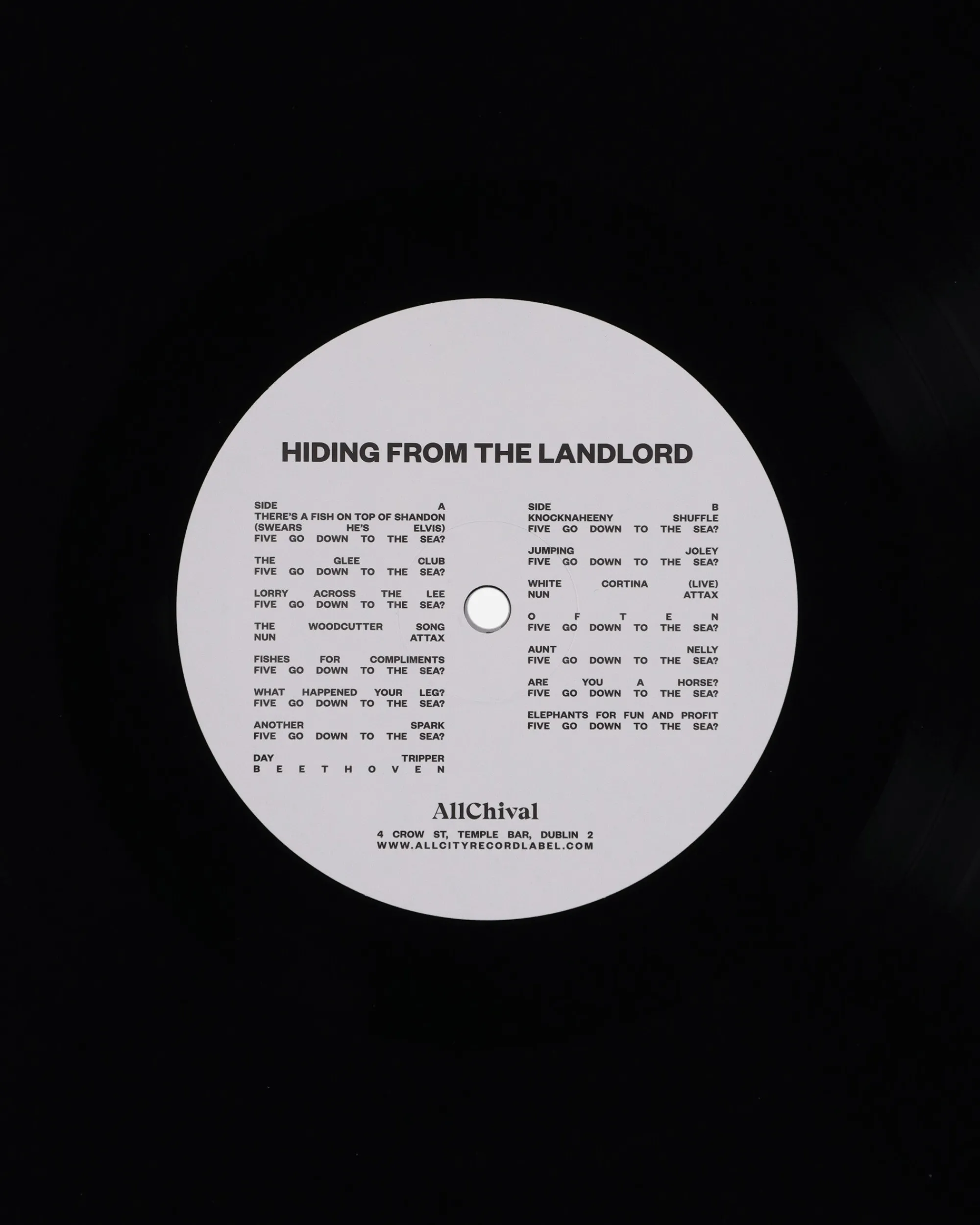 Public Possession Music^Hiding From The Landlord Vinyl