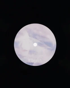 Public Possession Music^Infinite Wellness Vinyl
