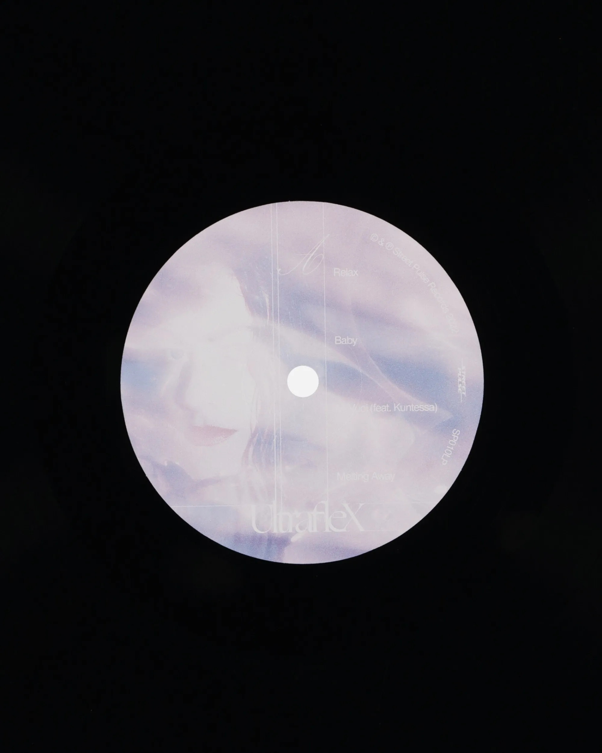 Public Possession Music^Infinite Wellness Vinyl