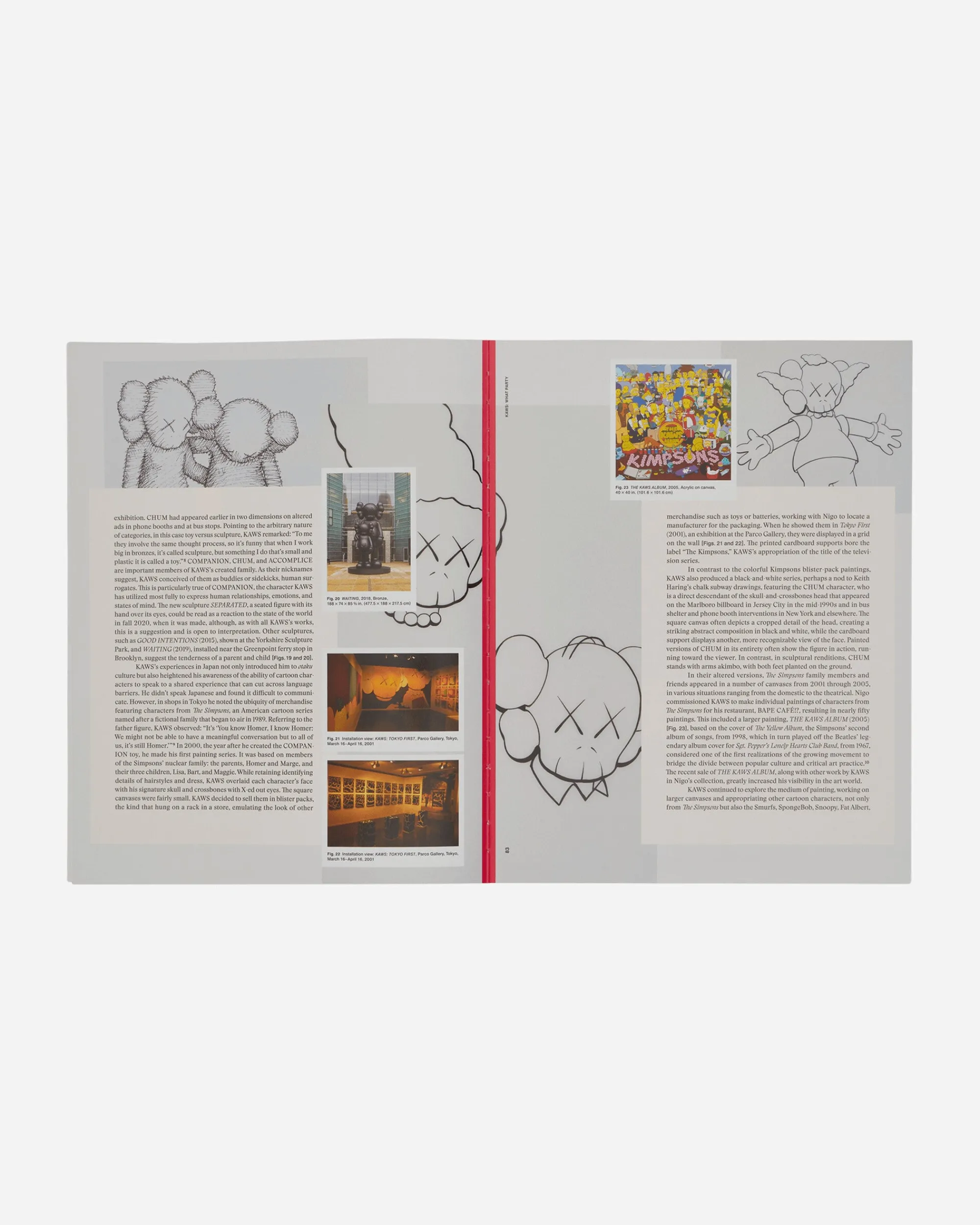 Phaidon Books Books^KAWS: What Party Book