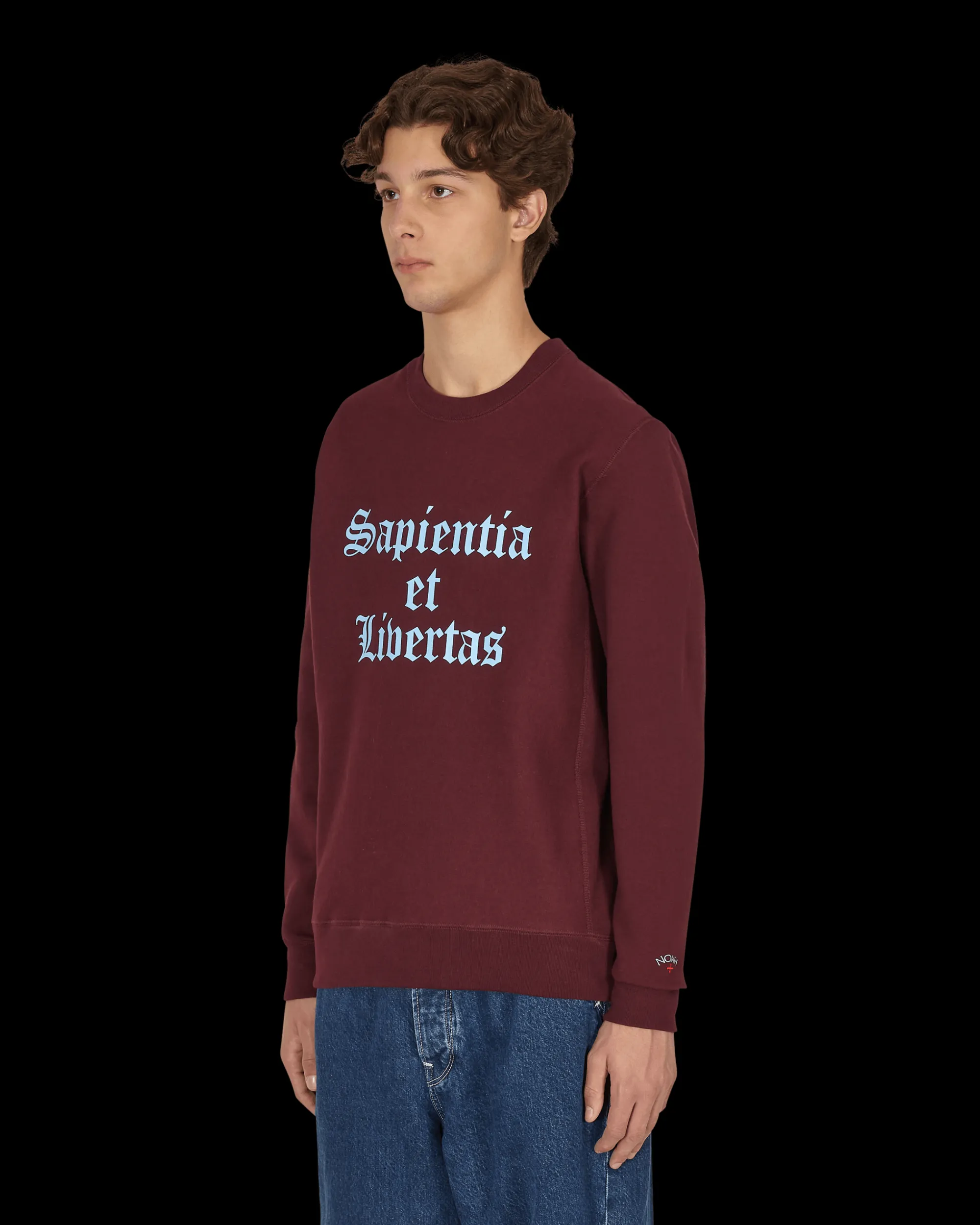 Noah Sweatshirts^Knowledge Crewneck Sweatshirt Multicolor