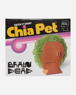 Brain Dead Home^Logohead Chia Pet Green / Multi