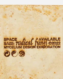 Space Available Home^Mycelium Totem Natural