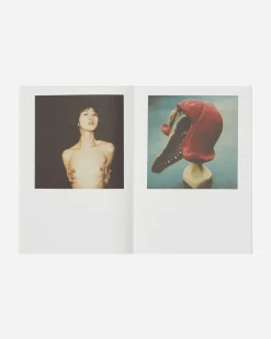 Innen Publishing Magazines^Nobuyoshi Araki: Polanography Zine