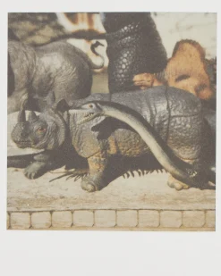 Innen Publishing Magazines^Nobuyoshi Araki: Polanography Zine