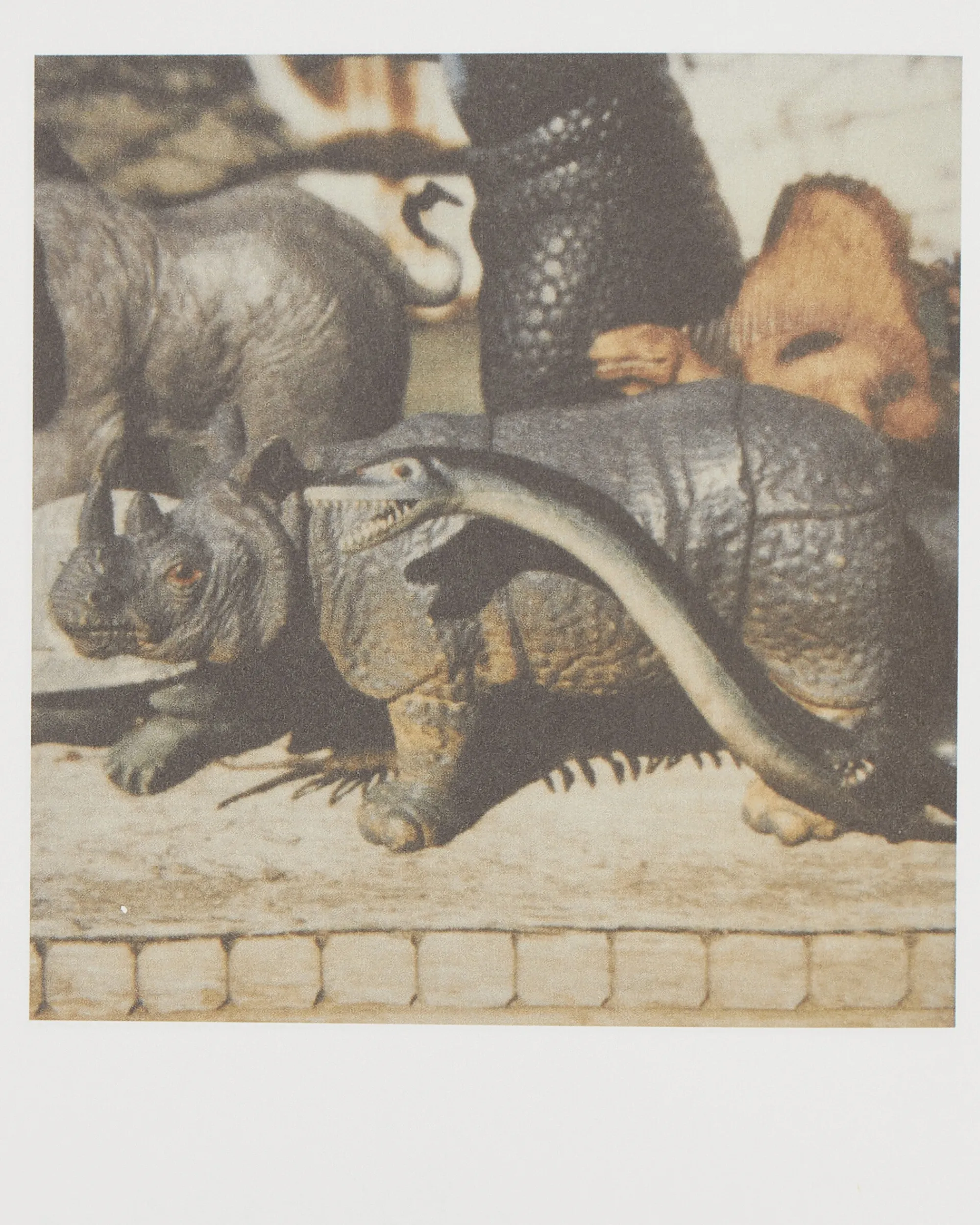 Innen Publishing Magazines^Nobuyoshi Araki: Polanography Zine