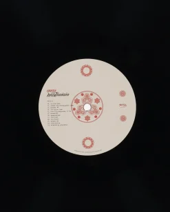 Public Possession Music^Nosthaigia Vinyl