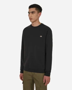 Dickies Sweatshirts^Oakport Crewneck Sweatshirt Black