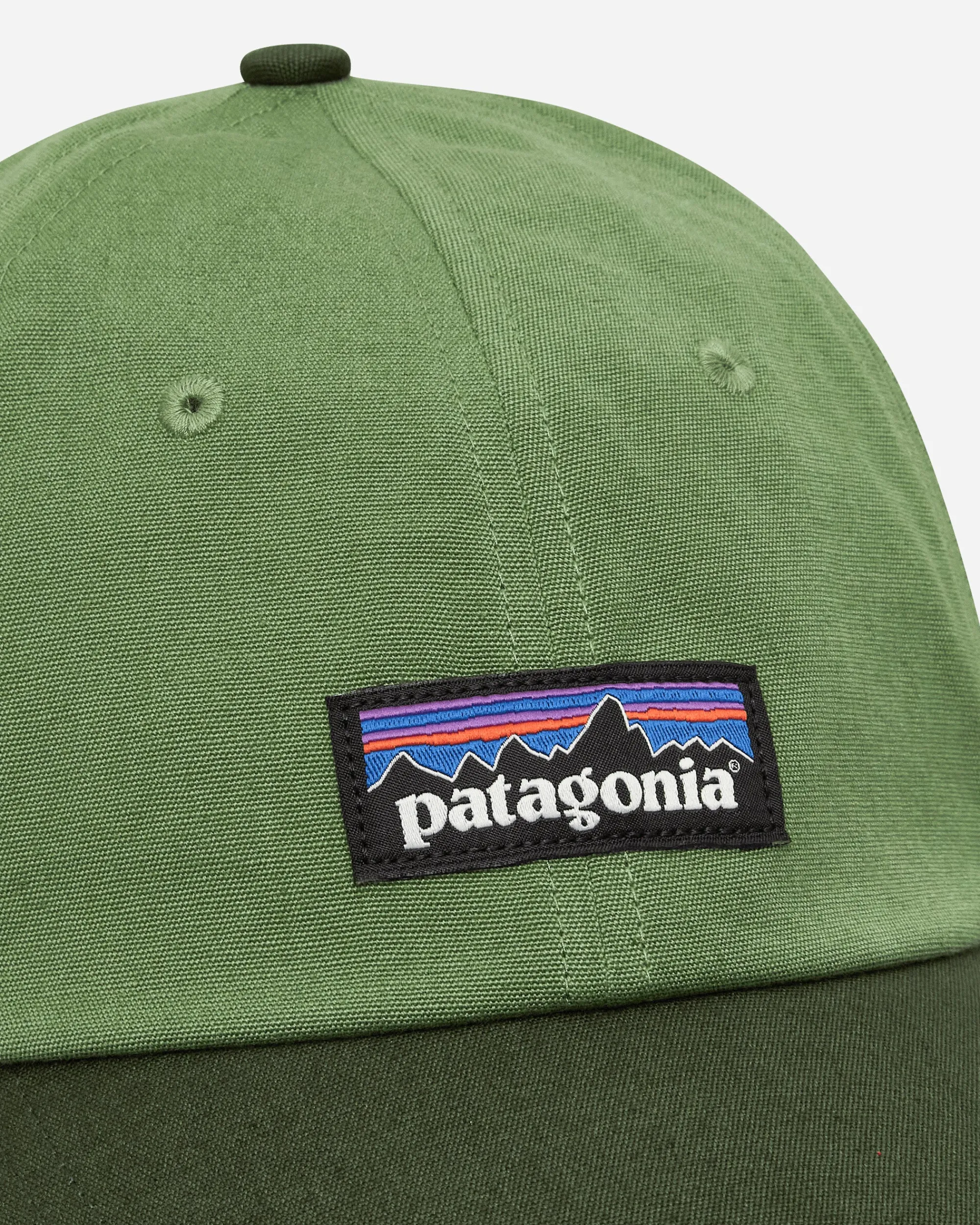 Patagonia Hats|Hats^P-6 Label Trad Cap Terrain Green