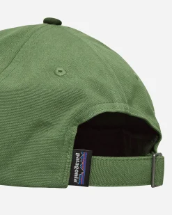 Patagonia Hats|Hats^P-6 Label Trad Cap Terrain Green