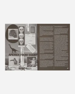 Innen Publishing Magazines^P.A.M. Eyes Cover Zine