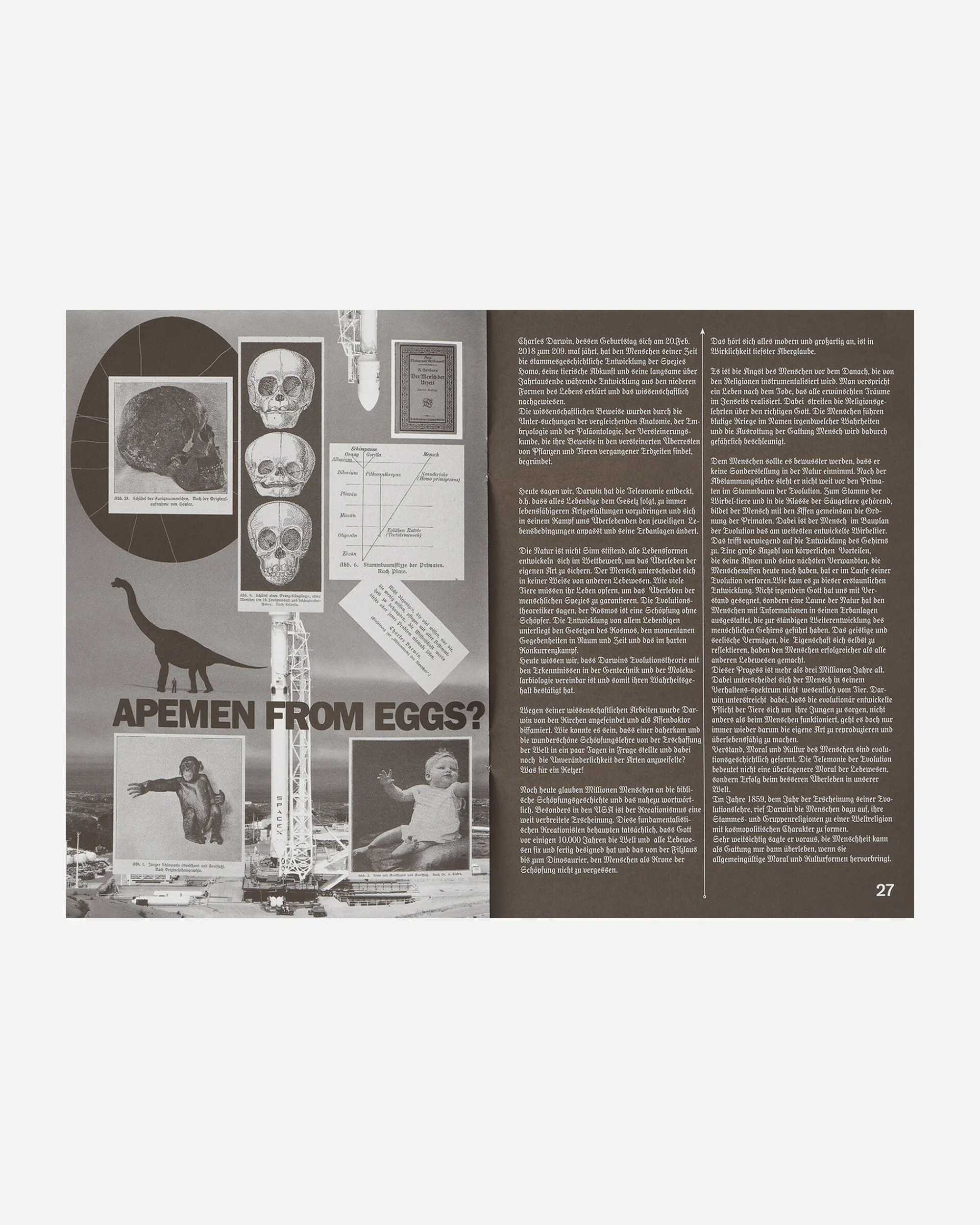 Innen Publishing Magazines^P.A.M. Eyes Cover Zine