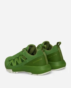 Salomon Sneakers·Low|Sneakers^Phileo Alpinway SP2 Sneakers Treetop / Icicle / Calla Green