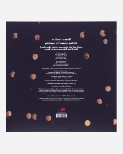 Public Possession Music^Picture Of Bunny Rabbit Vinyl