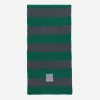 Cav Empt Gloves And Scarves|Gloves And Scarves^Poly Knit Stripe Scarf Green