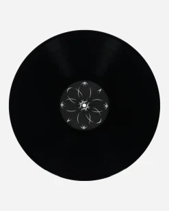 Public Possession Music^Radiants Vinyls