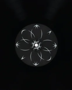 Public Possession Music^Radiants Vinyls