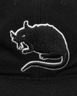 Stray Rats Hats|Hats^Rat Logo Fitted Hat Black
