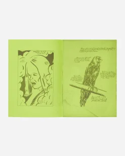 Innen Publishing Magazines^Raymond Pettibon: Selected Works From 1982 To 2011 Zine