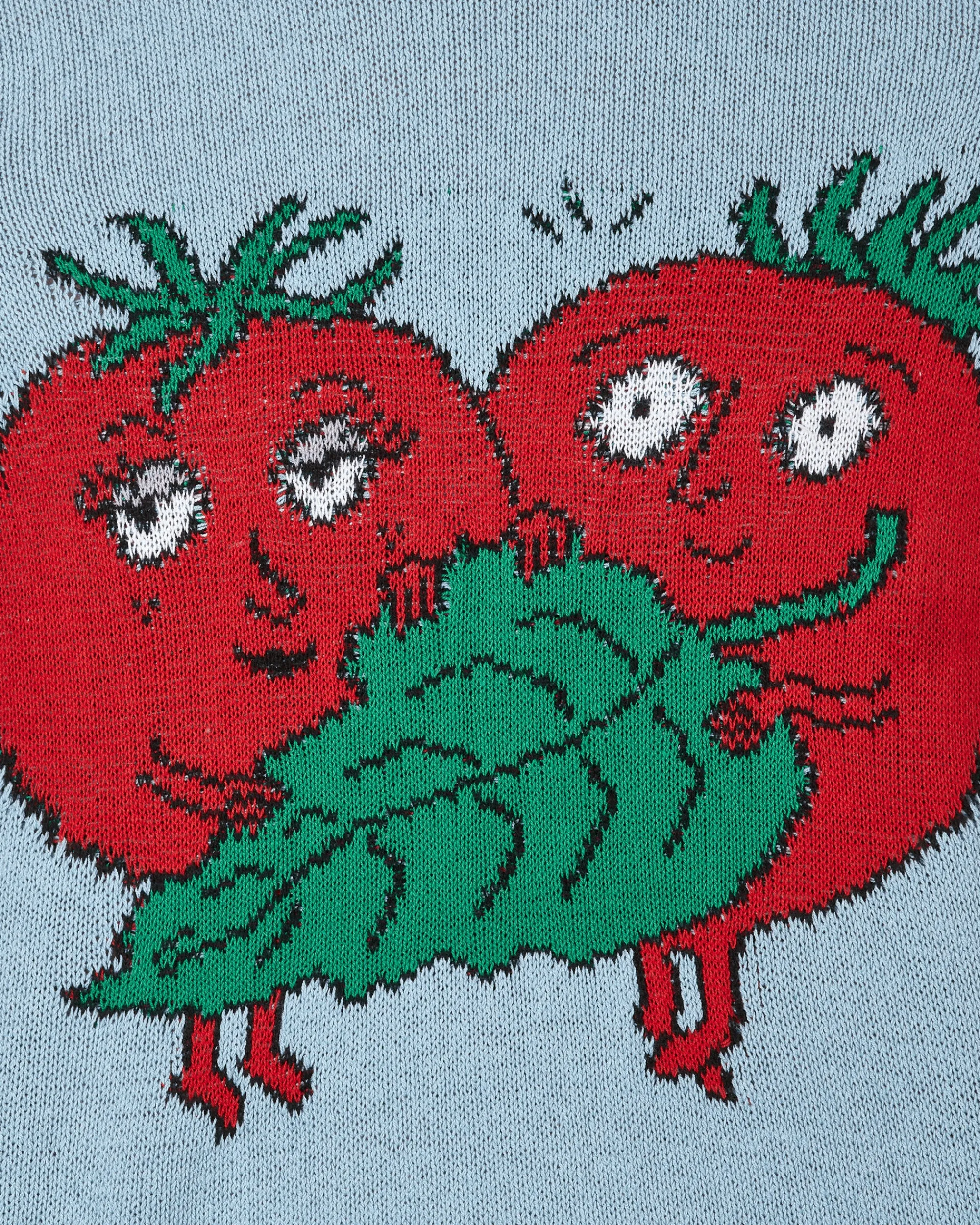 Sky High Farm Knitwear^Recycled Cotton Intarsia Knit Sweater Blue