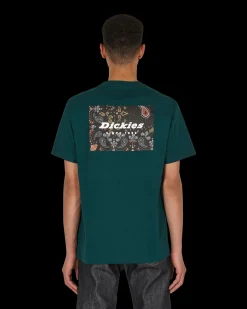 Dickies T-Shirts^Reworked T-Shirt Green