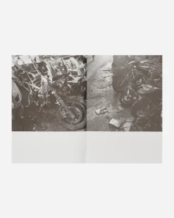 Innen Publishing Magazines^Ron Morelli: Animal Parts: Decaying World Photos 2009-2018 Zine
