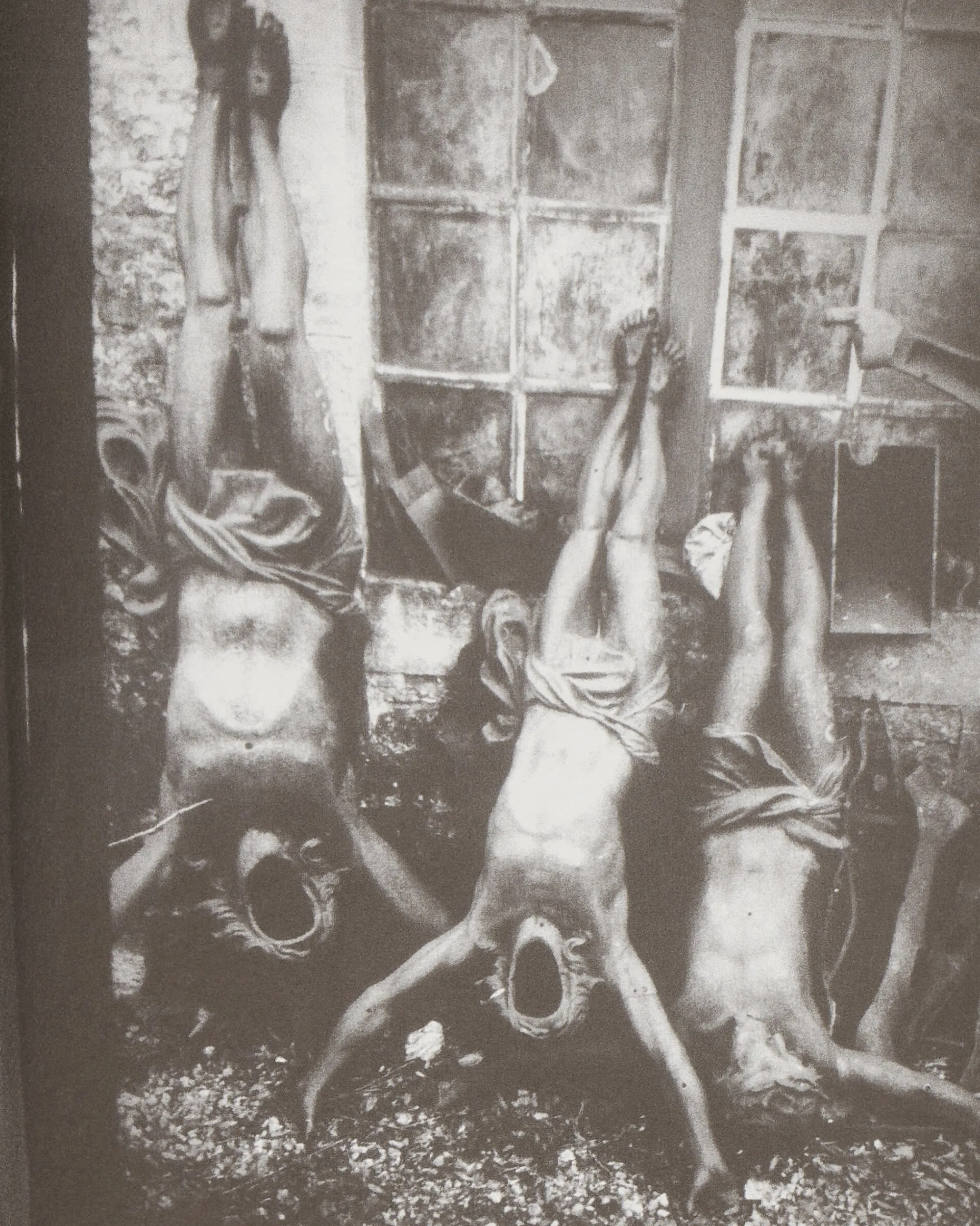 Innen Publishing Magazines^Ron Morelli: Animal Parts: Decaying World Photos 2009-2018 Zine