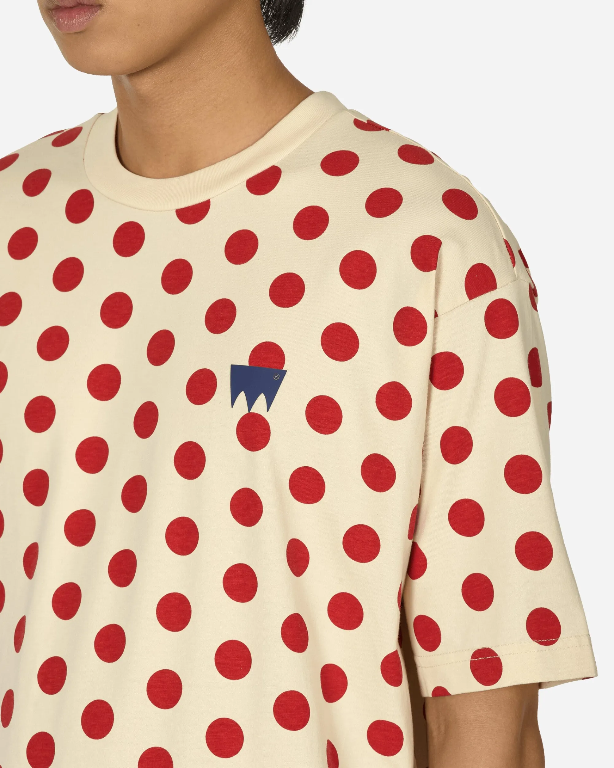 Levi's T-Shirts^Skateboarding Graphic Boxy T-Shirt Cream