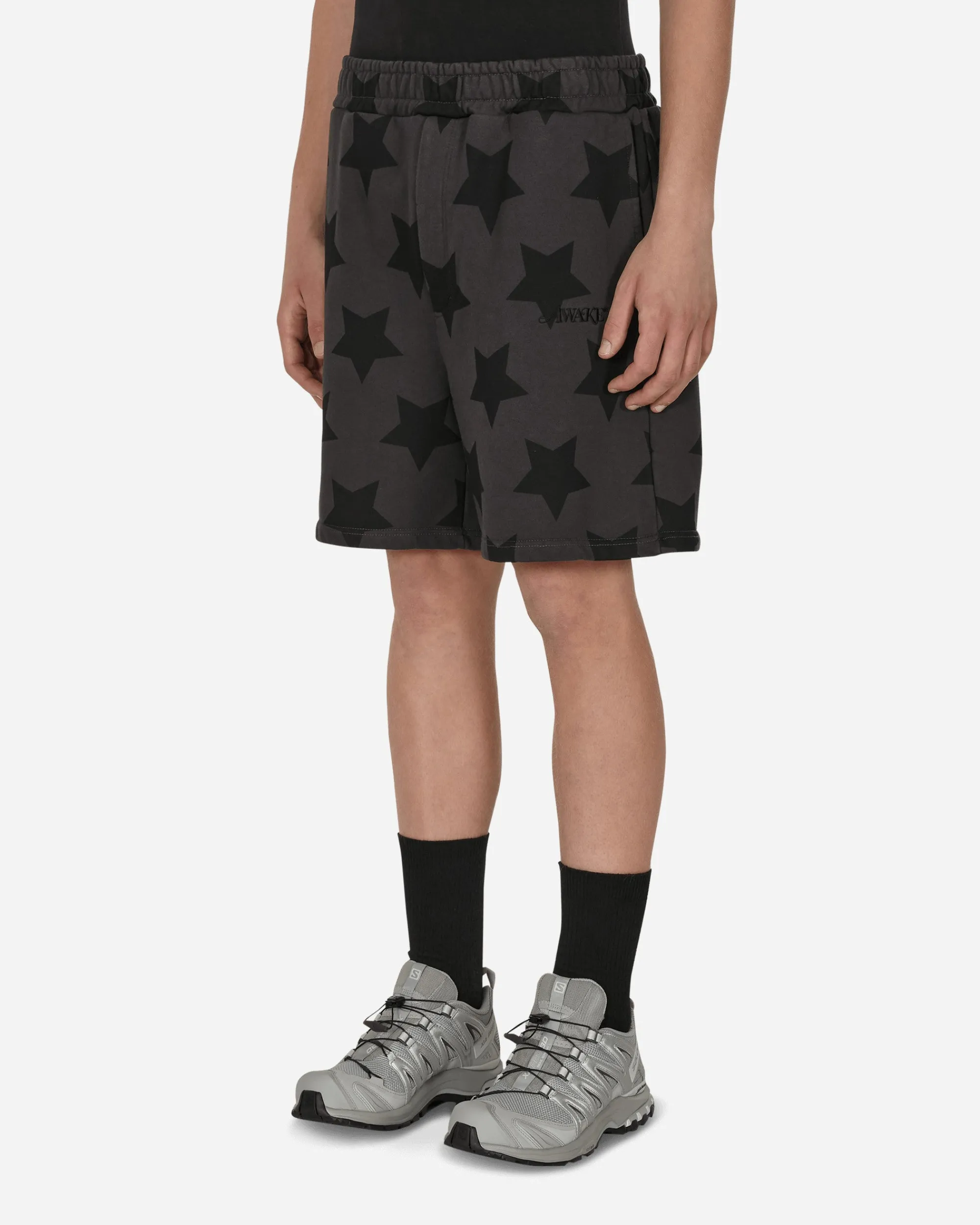 Awake NY Shorts^Star Printed Sweatshorts Grey