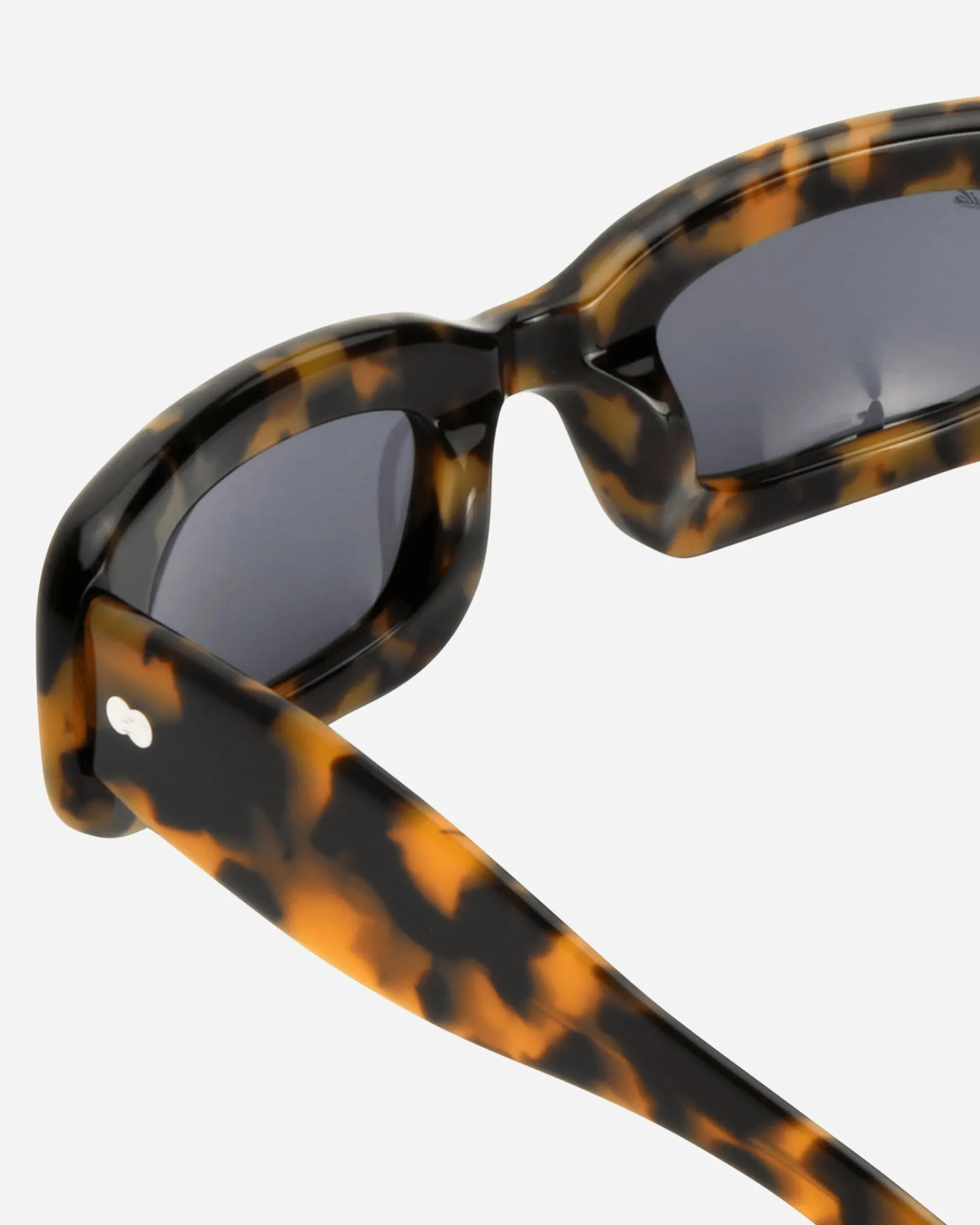 AKILA Eyewear|Eyewear^Verve Inflated Sunglasses Tortoise / Black