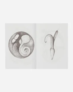 Innen Publishing Magazines^Yoko Ono: Franklin Summer Selected Drawings - 1995-2005 Zine